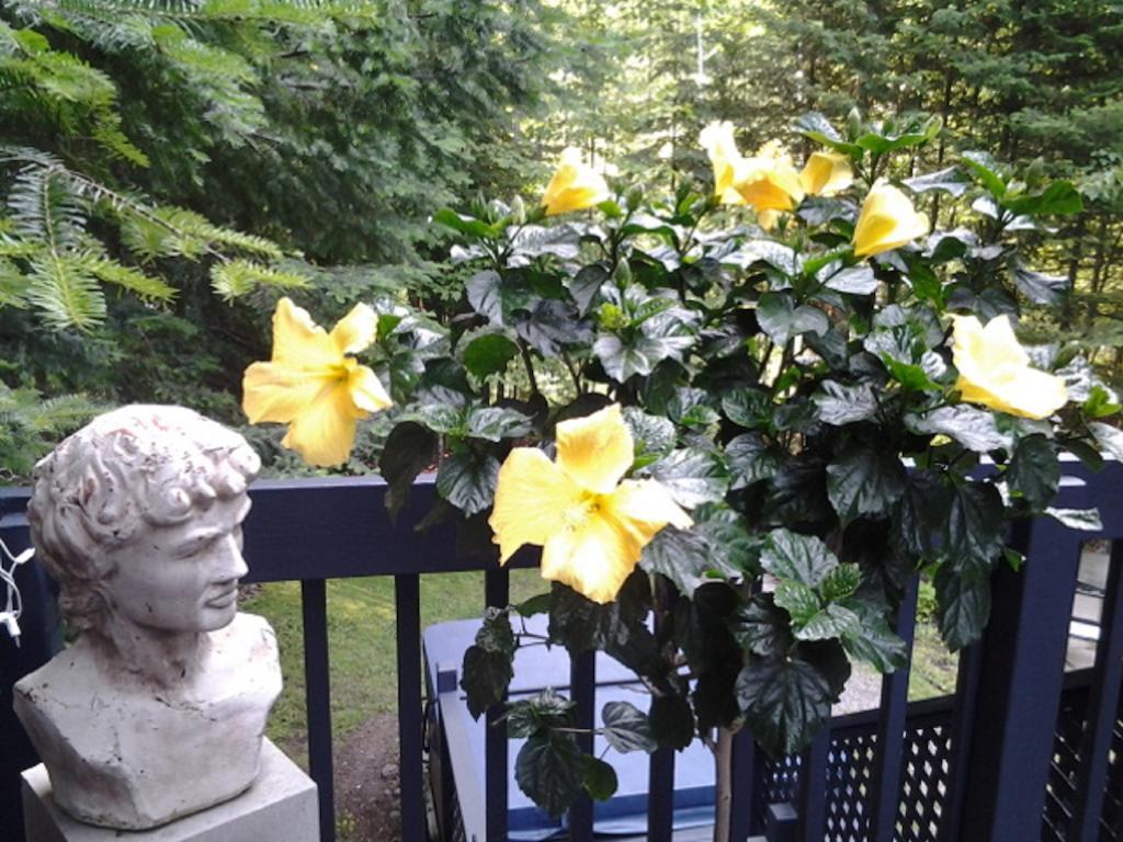 Gite Le Roupillon B&B Mont-Tremblant Buitenkant foto
